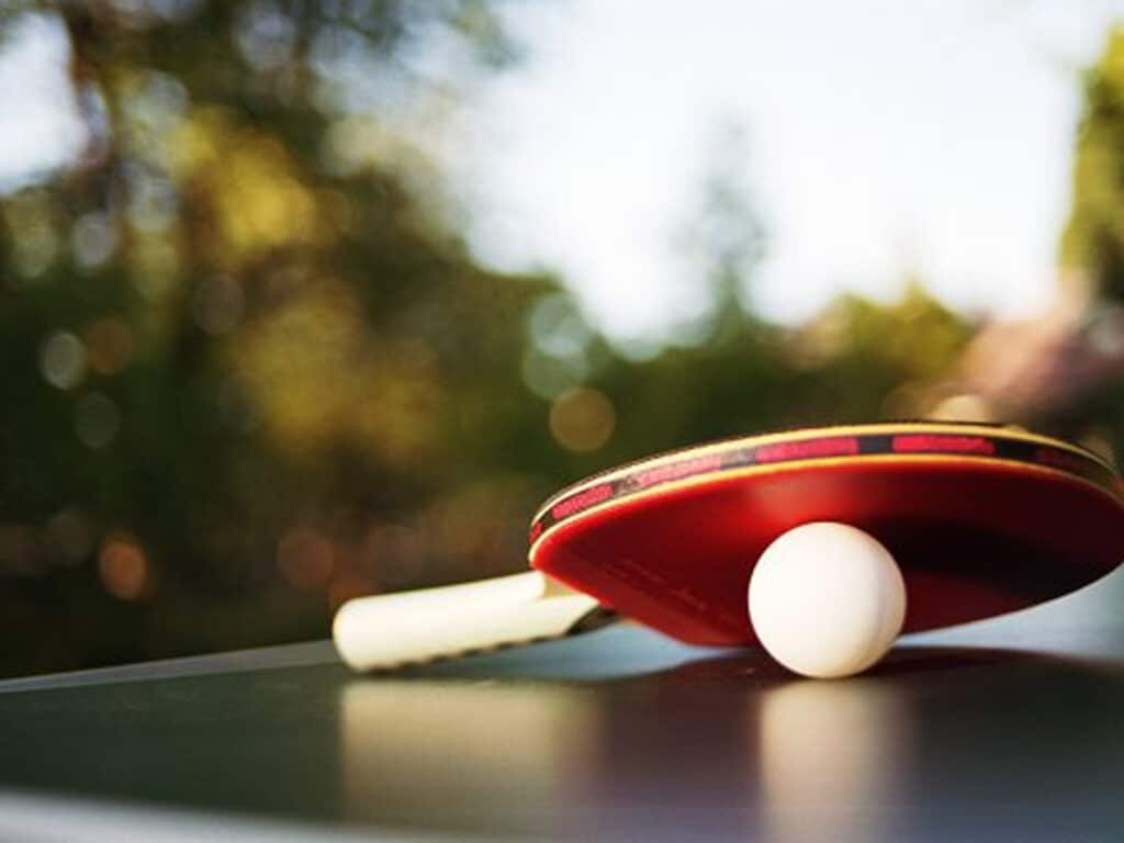 Table de ping pong